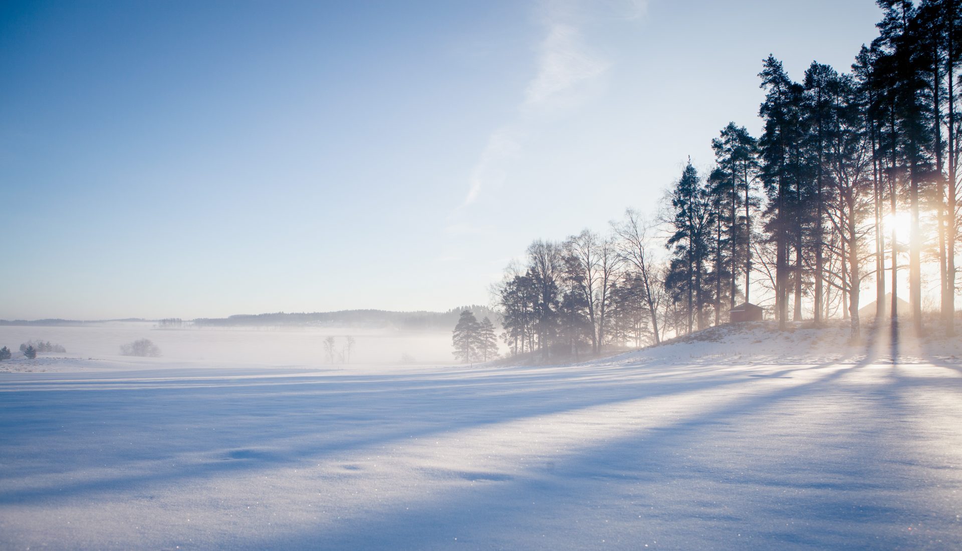 Talvinen maisema, jossa on luminen pelto, tiheät puut ja auringonvalo nousee horisontista sumuisessa taivaassa.