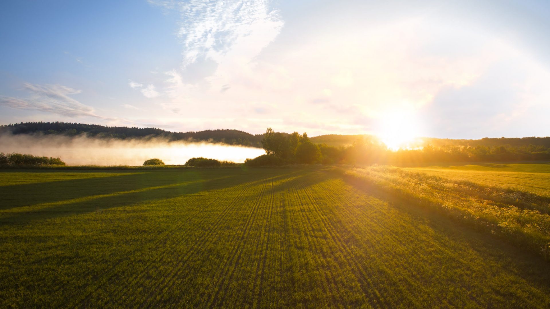 Sunrise illuminates green fields and misty forests on the horizon.